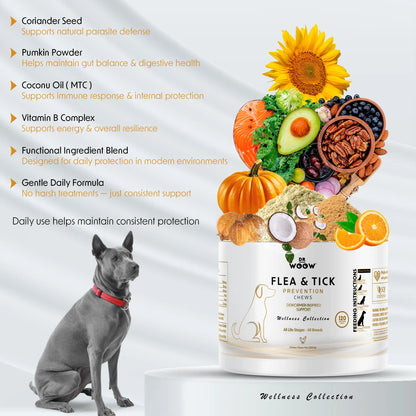 Dr. Woow Daily Health Protection Chews for Dogs – Skin, Coat & Immune Support – Beef Flavor – 120 Soft Chews Animal Feeding