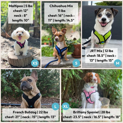 Gooby: Comfort X Step-In Lite Dog Harness | Best No-Escape & Choke-Free Step-In Harness for Toy Breeds, Small & Medium Dogs | Ultra-Lightweight | Breathable Mesh | Quick-Dry | Machine Washable