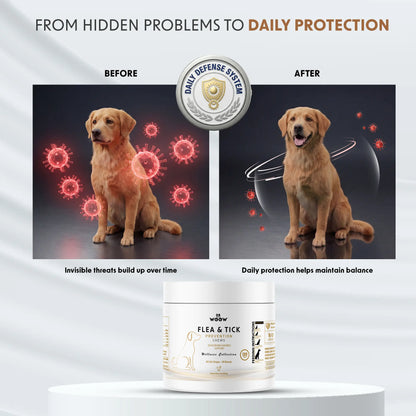 Dr. Woow Daily Health Protection Chews for Dogs – Skin, Coat & Immune Support – Beef Flavor – 120 Soft Chews Animal Feeding