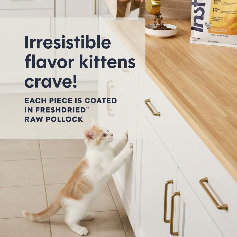 Original Kitten Dry Food, Raw Coated, Real Chicken, 4.5 Lb. Bag | Raw-Coated Kibble with Cage-Free Chicken, High Animal Protein, DHA, Probiotics, and Omegas to Support Growing Kittens