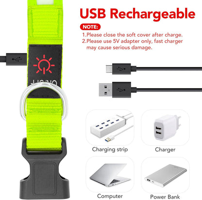LED Dog Collar, Light up Dog Collar Adjustable Safety Glowing Collar | USB Rechargeable Super Bright Light Collars for Dogs(Small,Green)
