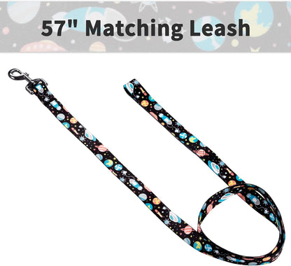 Dog Collar and Leash Set for Small Dogs & Cats, up to 20 Lbs | Soft Splicing Design, Adjustable Durable Pet Collar Leash for Everyday Walks, Training, and Outdoor Activities