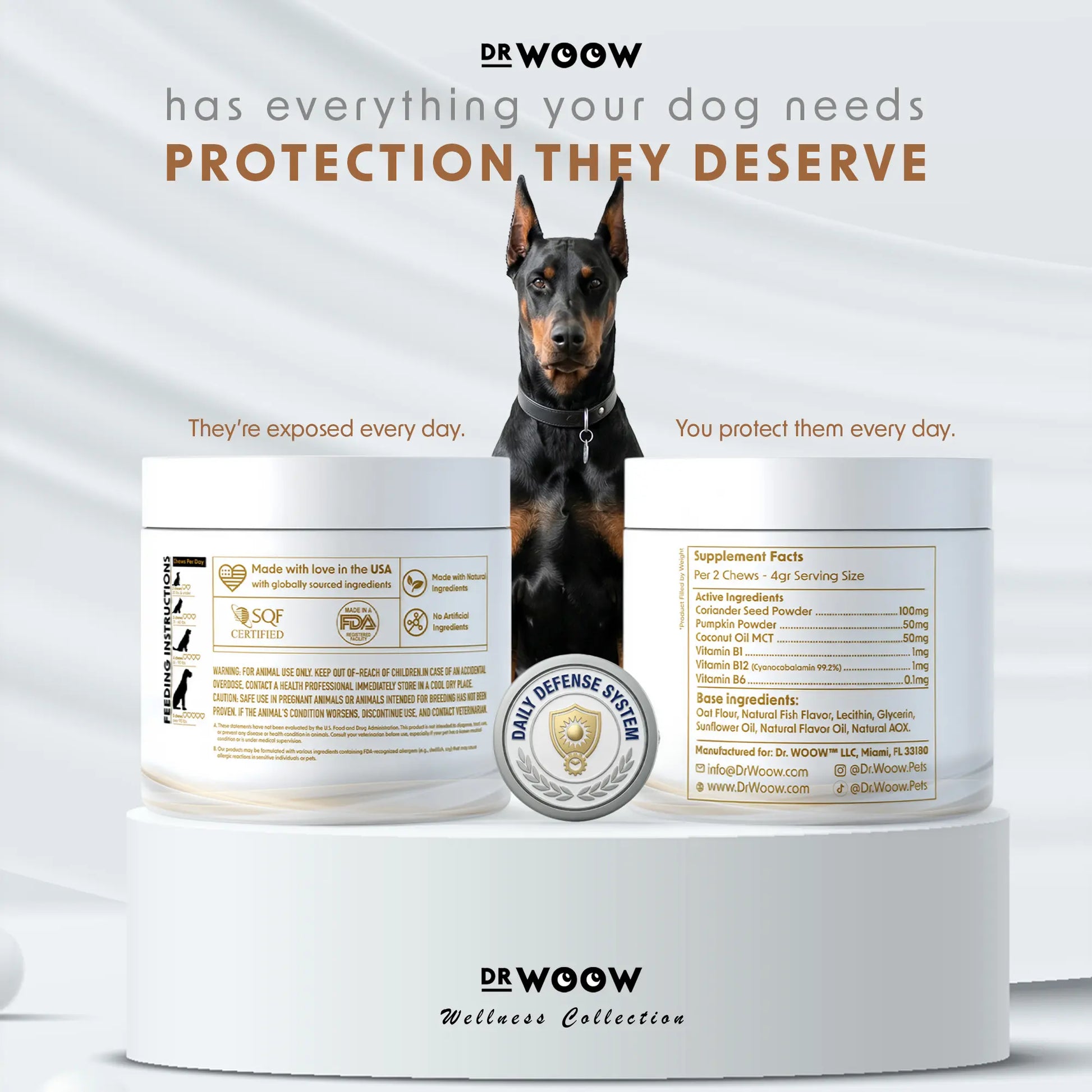 Dr. Woow Daily Health Protection Chews for Dogs – Skin, Coat & Immune Support – Beef Flavor – 120 Soft Chews Animal Feeding