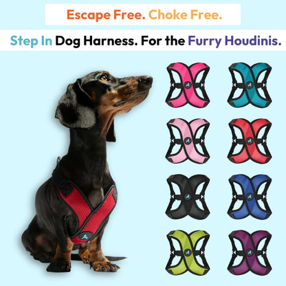 Gooby: Comfort X Step-In Lite Dog Harness | Best No-Escape & Choke-Free Step-In Harness for Toy Breeds, Small & Medium Dogs | Ultra-Lightweight | Breathable Mesh | Quick-Dry | Machine Washable