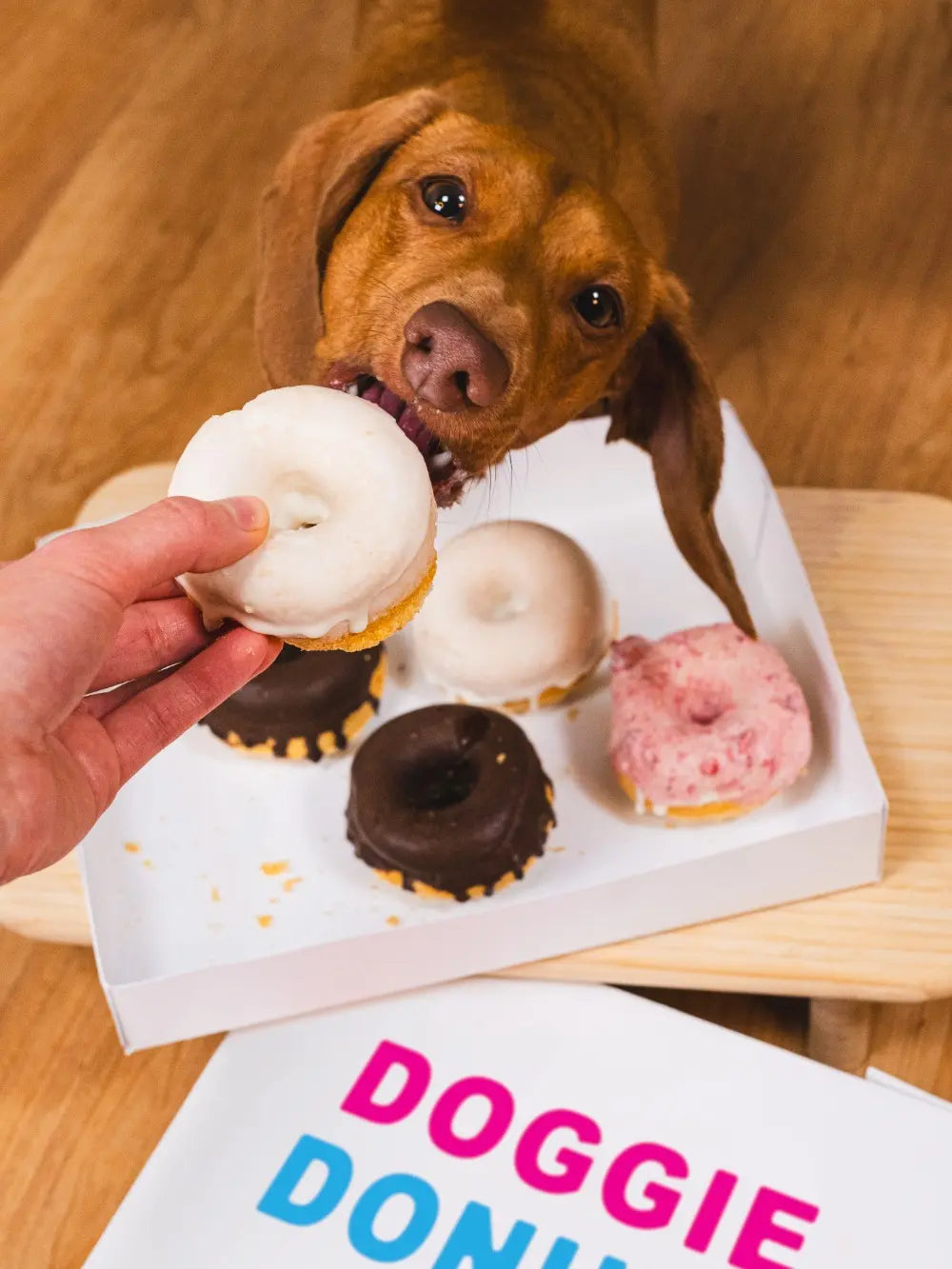 The Dog'S Table: 120+ Easy Real-Food Recipes for Happier, Healthier Pups - from Eggs Benedog to Seafood Pawella, Healthy