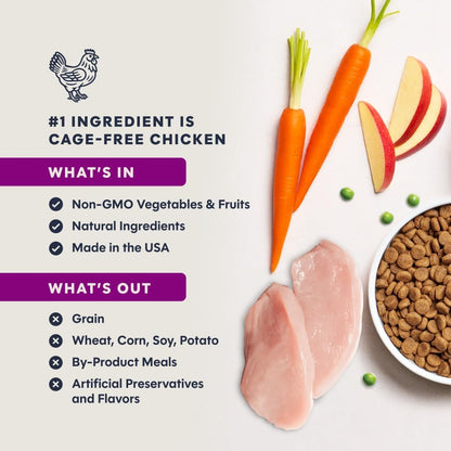 Original Kitten Dry Food, Raw Coated, Real Chicken, 4.5 Lb. Bag | Raw-Coated Kibble with Cage-Free Chicken, High Animal Protein, DHA, Probiotics, and Omegas to Support Growing Kittens