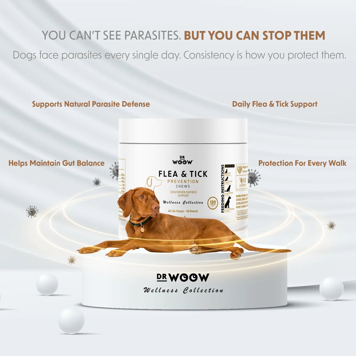 Dr. Woow Daily Health Protection Chews for Dogs – Skin, Coat & Immune Support – Beef Flavor – 120 Soft Chews Animal Feeding