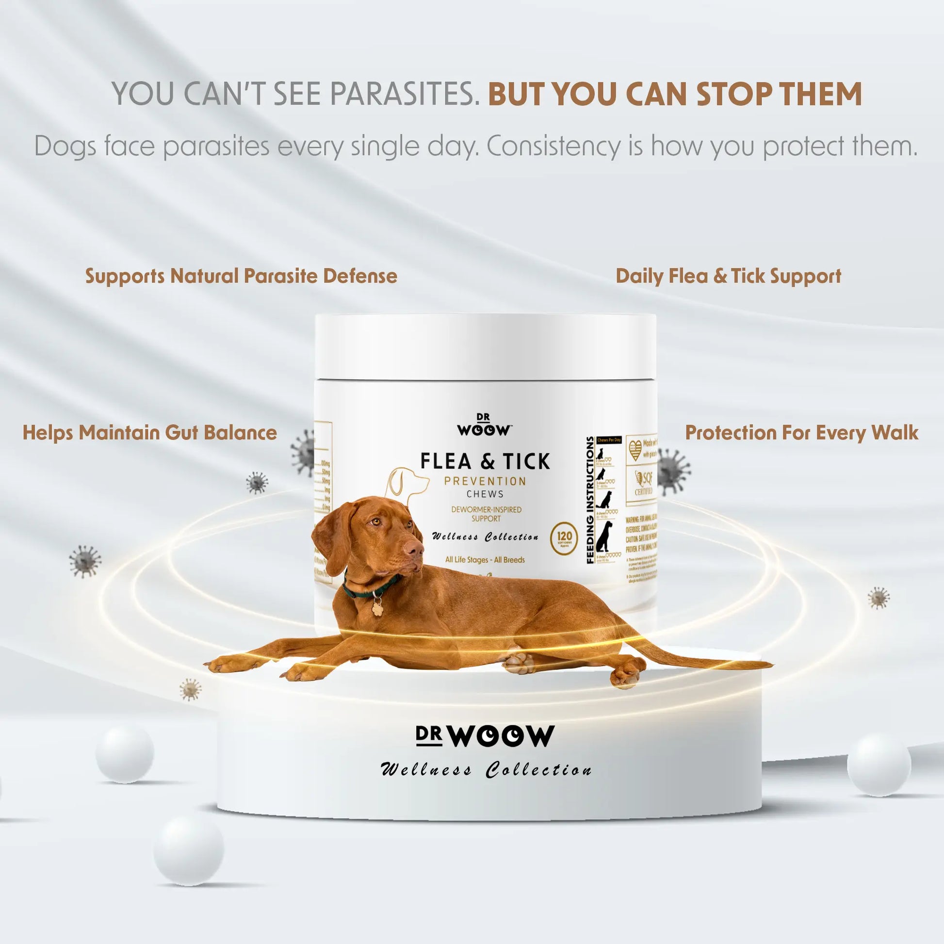 Dr. Woow Daily Health Protection Chews for Dogs – Skin, Coat & Immune Support – Beef Flavor – 120 Soft Chews Animal Feeding