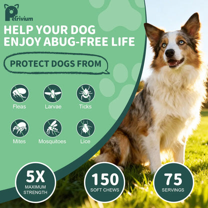 150Ct-Petrivium Dog Flea & Tick Support Soft Chews - Natural Oral Supplement - Suitable for All Breeds & Sizes-Chicken Flavor#Summervibes#Petlovers #Tiktokshopspringglowup