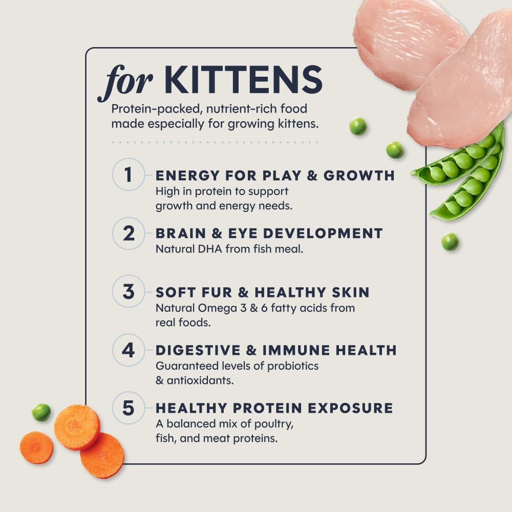 Original Kitten Dry Food, Raw Coated, Real Chicken, 4.5 Lb. Bag | Raw-Coated Kibble with Cage-Free Chicken, High Animal Protein, DHA, Probiotics, and Omegas to Support Growing Kittens
