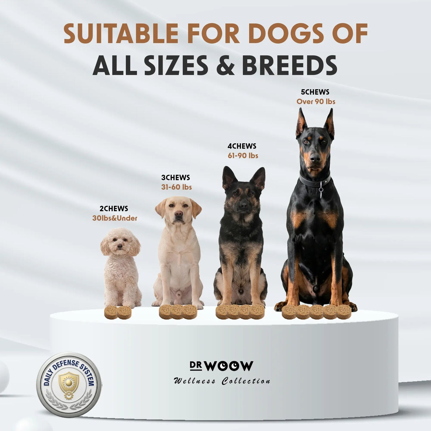 Dr. Woow Daily Health Protection Chews for Dogs – Skin, Coat & Immune Support – Beef Flavor – 120 Soft Chews Animal Feeding