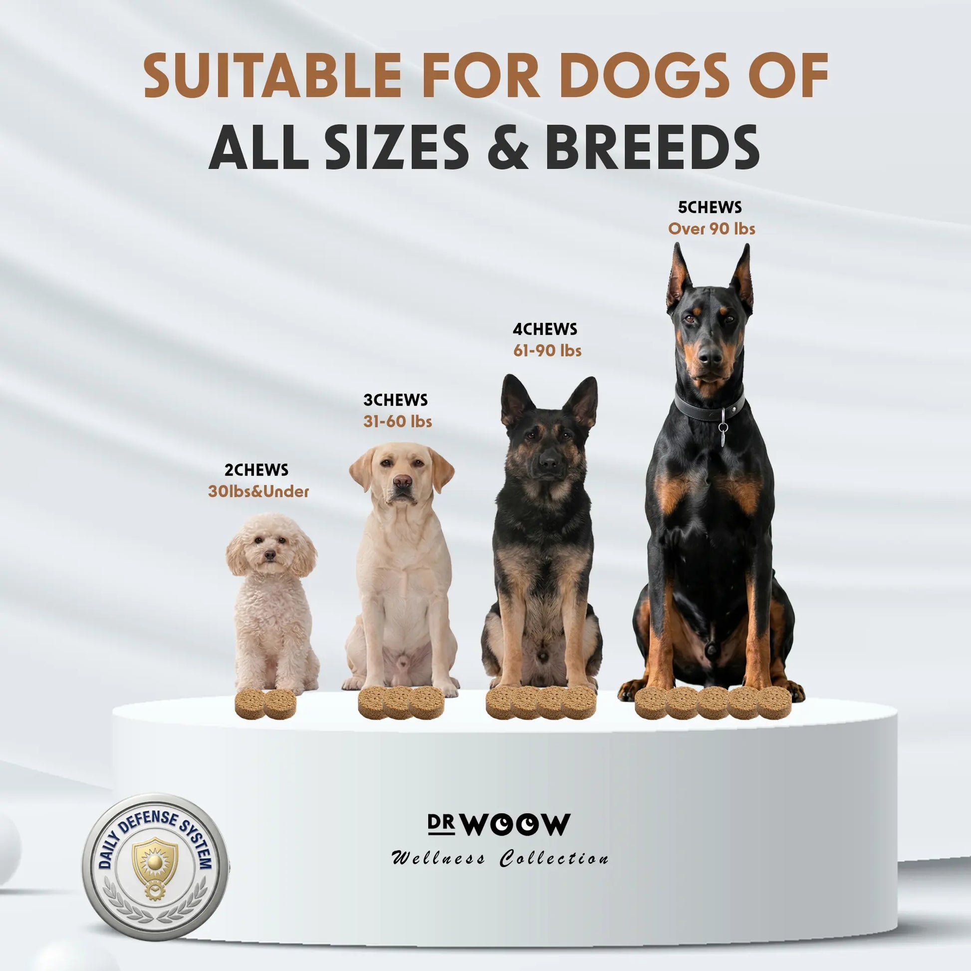 Dr. Woow Daily Health Protection Chews for Dogs – Skin, Coat & Immune Support – Beef Flavor – 120 Soft Chews Animal Feeding